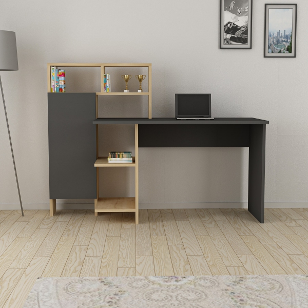 Delmaris Computer Desk with Shelves and Cabinet - Anthracite & Oak