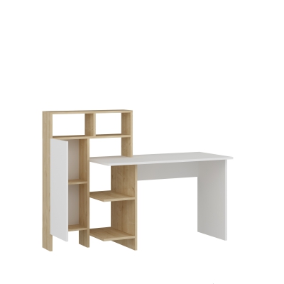 Delmaris Computer Desk with Shelves and Cabinet - Oak & White