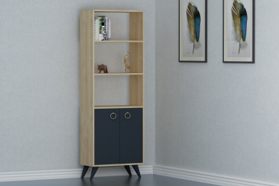 Ariana Bookcase with Cabinets and Shelves - Oak & Anthracite