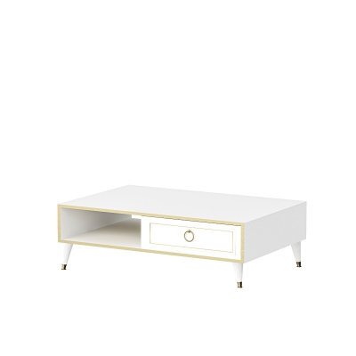 Antonia Coffee Table with Storage Cabinet Shelf - White and Gold Band