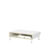 Antonia Coffee Table with Storage Cabinet Shelf - White and Gold Band