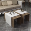 Cheryl Nesting Coffee Table - White & Walnut