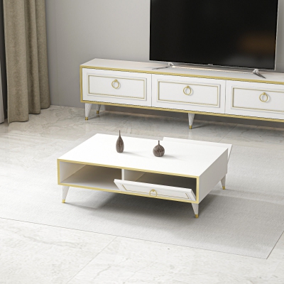 Antonia Coffee Table with Storage Cabinet Shelf - White and Gold Band