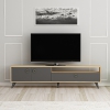 Grosso TV Stand and Media Console - Anthracite & Oak