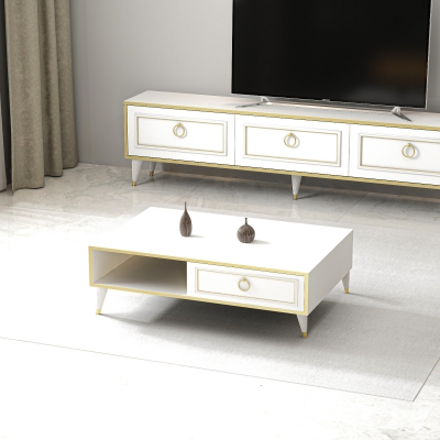 Antonia Coffee Table with Storage Cabinet Shelf - White and Gold Band