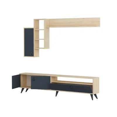 Ariana TV Stand and Entertainment Center - Anthracite & Oak