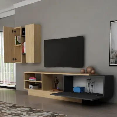 Pollen TV Stand and Entertainment Center - Anthracite & Oak