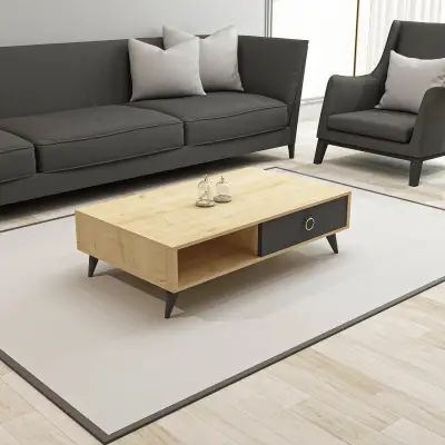 Ariana Coffee Table with Storage Cabinet Shelf - Anthracite & Oak