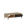 Ariana Coffee Table with Storage Cabinet Shelf - Anthracite & Oak