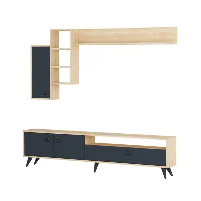 Ariana TV Stand and Entertainment Center - Anthracite & Oak