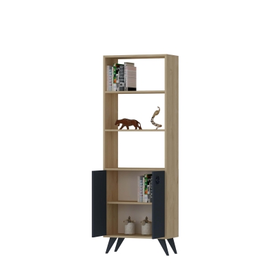 Ariana Bookcase with Cabinets and Shelves - Oak & Anthracite