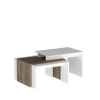 Daniella Nesting Coffee Table - White & Walnut