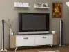 Zeya TV Stand and Entertainment Center - White & Walnut