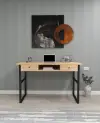 Elowen Wood Metal Computer Desk - Natural & Black