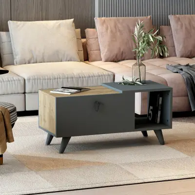 Alisya Coffee Table with Storage Cabinet and Shelf - Walnut & Anthracite