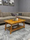 Ayla Wood Coffee Table with Storage Shelf - Oak