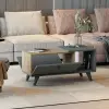 Alisya Coffee Table with Storage Cabinet and Shelf - Walnut & Anthracite