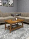 Ayla Wood Coffee Table with Storage Shelf - Walnut