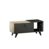 Alisya Coffee Table with Storage Cabinet and Shelf - Walnut & Anthracite