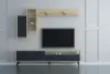 Ariana TV Stand and Entertainment Center - Anthracite & Oak