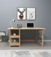 Mira Wood Computer Desk with Shelves - Natural