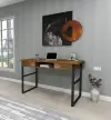 Elowen Wood Metal Computer Desk - Walnut & Black