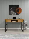 Elowen Wood Metal Computer Desk - Oak & Black