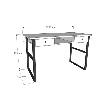 Elowen Wood Metal Computer Desk - Walnut & Black