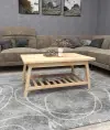 Ayla Wood Coffee Table with Storage Shelf - Natural