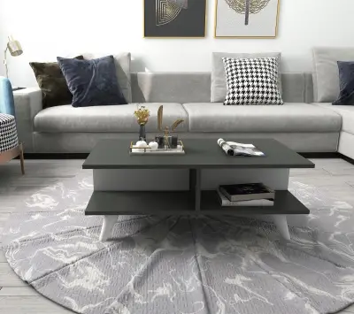 Verena Coffee Table with Storage Shelves - Anthracite & White