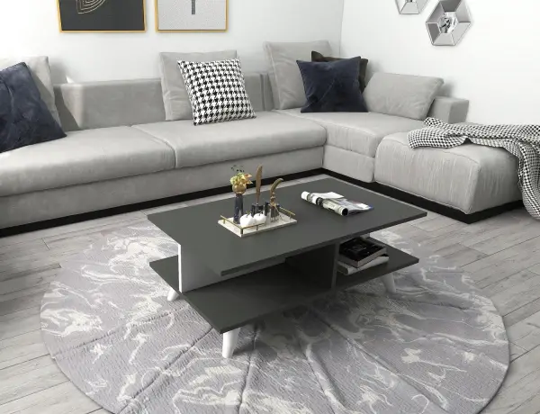 Verena Coffee Table with Storage Shelves - Anthracite & White