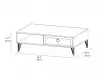 Antonia Coffee Table with Storage Cabinet Shelf - White and Gold Band