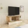 Dustin TV Stand with Shelves - Beige & Atlantic Pine