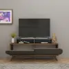 Lecody TV Stand with Cabinets, Shelves - Anthracite & Light Walnut