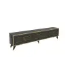 Romens TV Stand and Media Console with Cabinets - Anthracite & Marble Gold