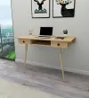 Denas Computer Desk with Drawers - Sapphire Oak