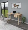 Virtual Wood Computer Desk with Drawer - Natural