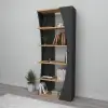 Nestor Bookcase with 5 Tier Shelves