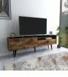 Farelle TV Stand and Media Console