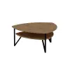 Adonis Coffee Table with Storage Shelf