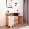 Zeno Computer Desk with Shelves and Cabinet