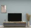 Winner TV Stand and Media Console