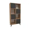 Nyx Bookcase with Cabinets and Shelves - Atlantic Pine / Anthracite