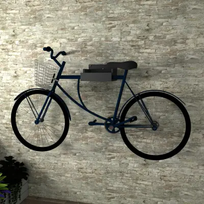 Joel Wall Mounted Bike Rack - Anthracite