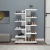 Albina Shoe Storage Shelf