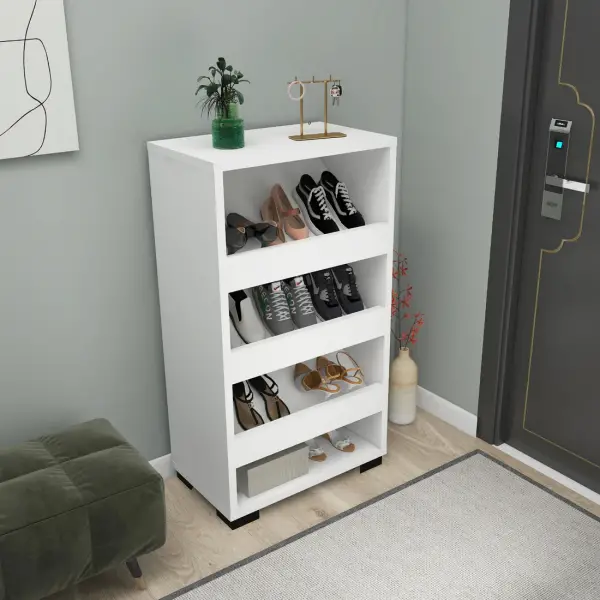 Leslie Shoe Storage Shelf with Cabinet