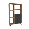 Melantha Bookcase with Cabinets and Shelves - Atlantic Pine / Anthracite