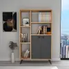 Melantha Bookcase with Cabinets and Shelves - Atlantic Pine / Anthracite