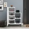 Beate Shoe Storage Shelf with Cabinet