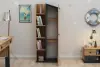 Valentino Bookcase with Storage Shelves and Cabinets - Atlantic Pine & Anthracite